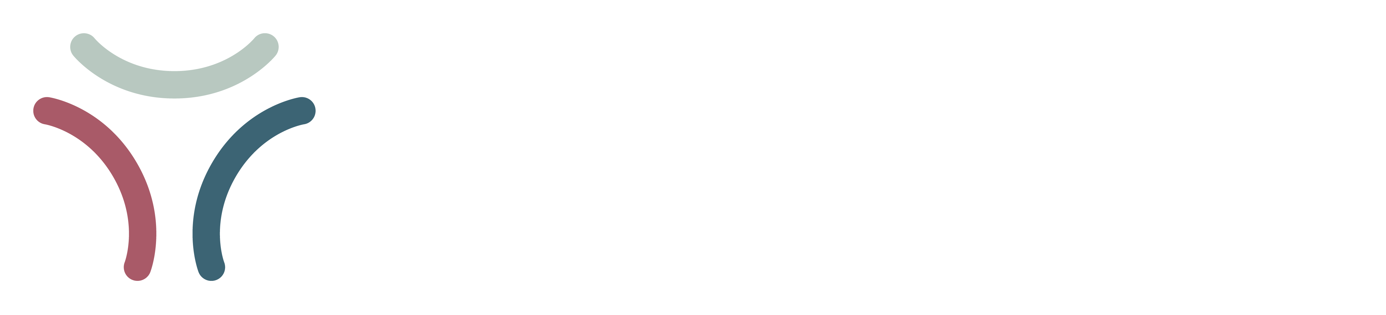 AAPLOG-Logotype_Color-white
