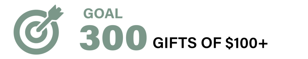 Target with an arrow hitting the bullseye and the label GOAL 300 in green text